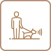 특별한 일상